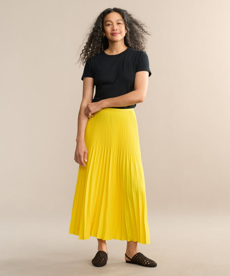 Pleated Skirt